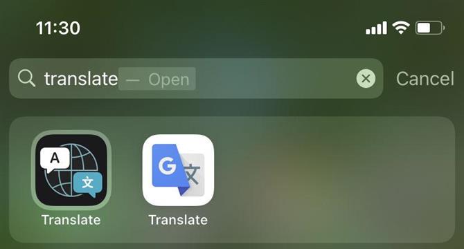 Aplikacja Tłumacz Apple
